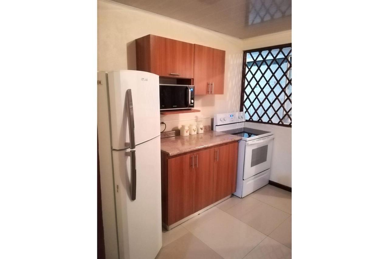 Aptos Casa Caribe, Habitaciones Privadas En Aptos Compartidos & Aptos Completos Con Auto Entrada بويرتو ليمون المظهر الخارجي الصورة